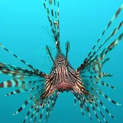Rotfeuerfisch